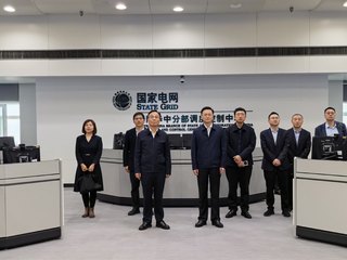 顾春华带队走访国网华中分部和国...