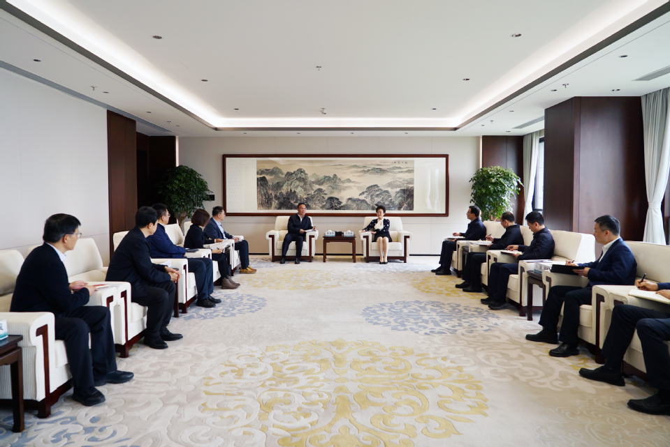 顾春华带队走访国网华中分部和国网湖北电力