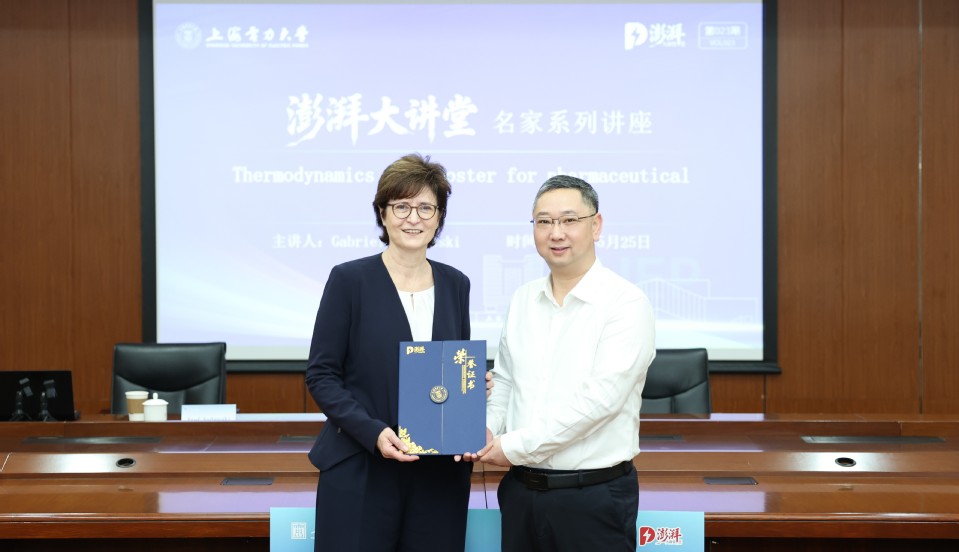 德国国家工程院院士Gabriele Sadowski教授作客我校澎湃大讲堂