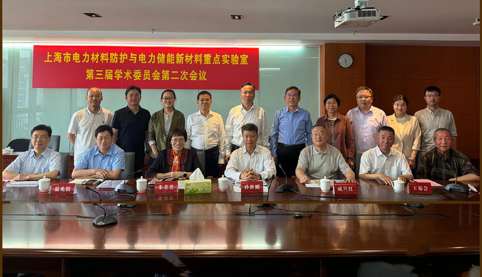 上海市电力材料防护与电力储能新材料重点实验室第三届学术委员会第二次会议召开