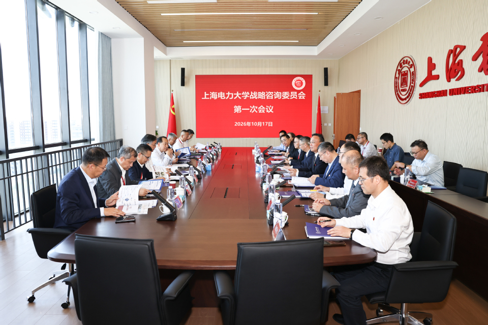 我校召开战略咨询委员会第一次会议 我校召开战略咨询委员会第一次会议