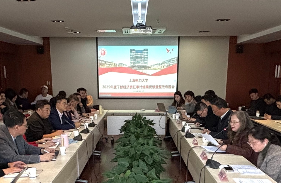 我校召开2025年度干部经济责任审计结果反馈暨审计整改工作会议